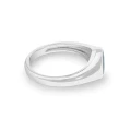 BM-R-347 Pierścionek Memorialny Unisex - PRIDE
