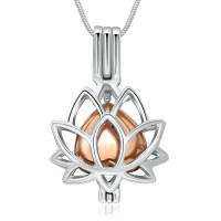 Naszyjnik / relikwiarz na prochy ze stali szlachetnej LILIA ROSE SILVER